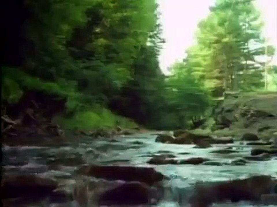 Tales From the Darkside - Se4 - Ep17 - Going Native HD Watch