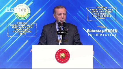 Erdoğan, Vali'yi fırçaladı; Karaismailoğlu'na talimat verdi