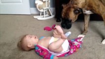 Video Lucu Bikin Ngakak Terbaru_ Bayi Lucu Bermain Dengan Anjing Kompilasi