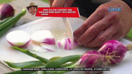 Isang uri ng gas na "syn-Propanethial-S-oxide" ang inilalabas ng sibuyas; gumagawa ito ng acid na nakakairita sa mata | 24 Oras