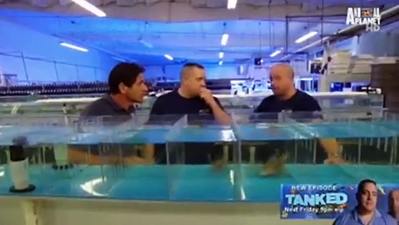 Tanked - Se3 - Ep10 HD Watch