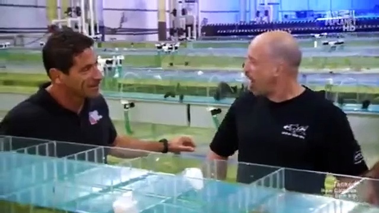 Tanked - Se3 - Ep15 HD Watch