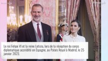 Letizia d'Espagne ignorée par un invité : Rare geste d'agacement en public, la reine professionnelle malgré tout