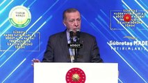 Erdoğan valiyi böyle fırçaladı