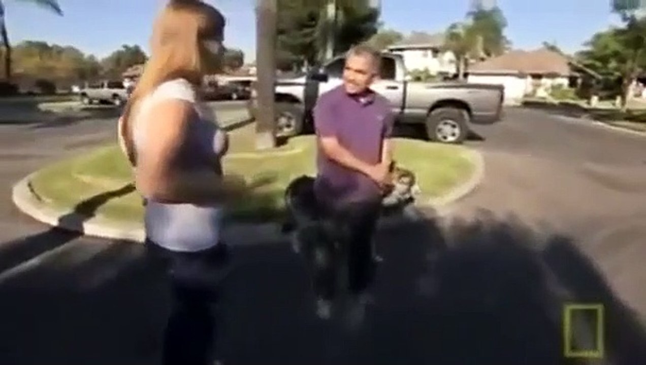 Dog Whisperer with Cesar Millan - Se5 - Ep06 HD Watch