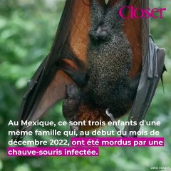 Ils perdent deux de leurs enfants en dix jours après une morsure de chauve-souris