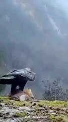 06e056fc-8609-45e1-9c3d-e449ecb53b82