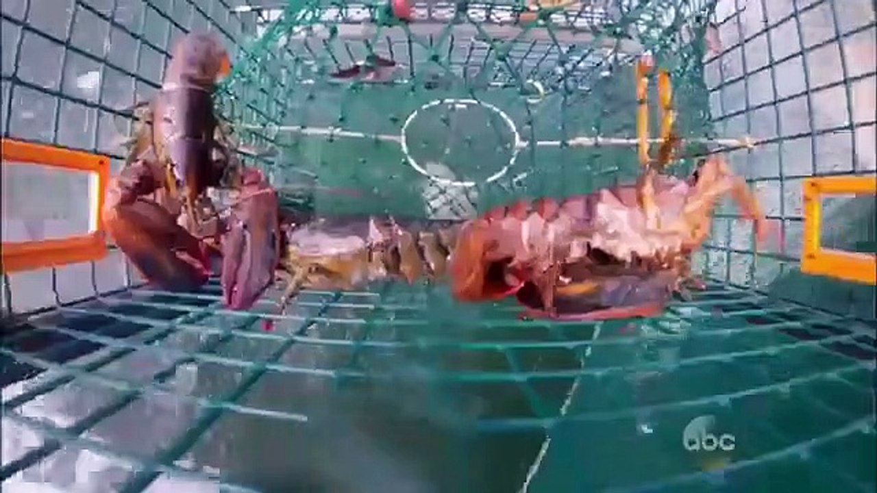 Shark Tank - Se7 - Ep29 - Ep29 HD Watch