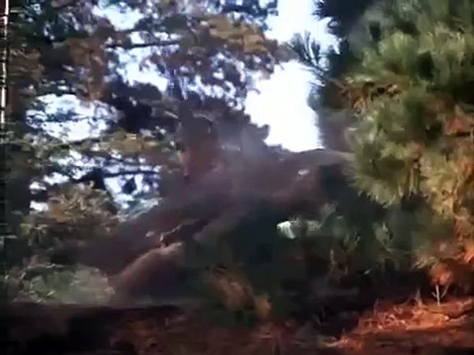 Combat! - Se5 - Ep49 HD Watch