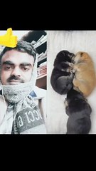 नाक कौन पोंछता है #funnyvideo #comedyvideo #jokes #vinodjivlogs