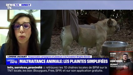 Lorène Jacquet (fondation Brigitte Bardot): "C'est une vraie prise en compte de la souffrance animale par le ministère de l'Intérieur"