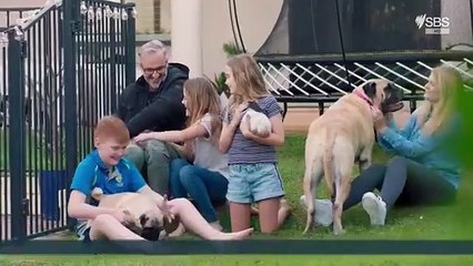 Filthy Rich and Homeless (AU) - Se3 - Ep01 HD Watch