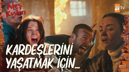 Ateş Kuşları'nın hayatta kalma mücadelesi... Kuşları 3. Bölüm