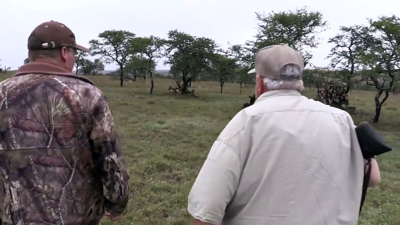 Fallow Deer Hunting in South Africa _ Nick Bowker Hunting