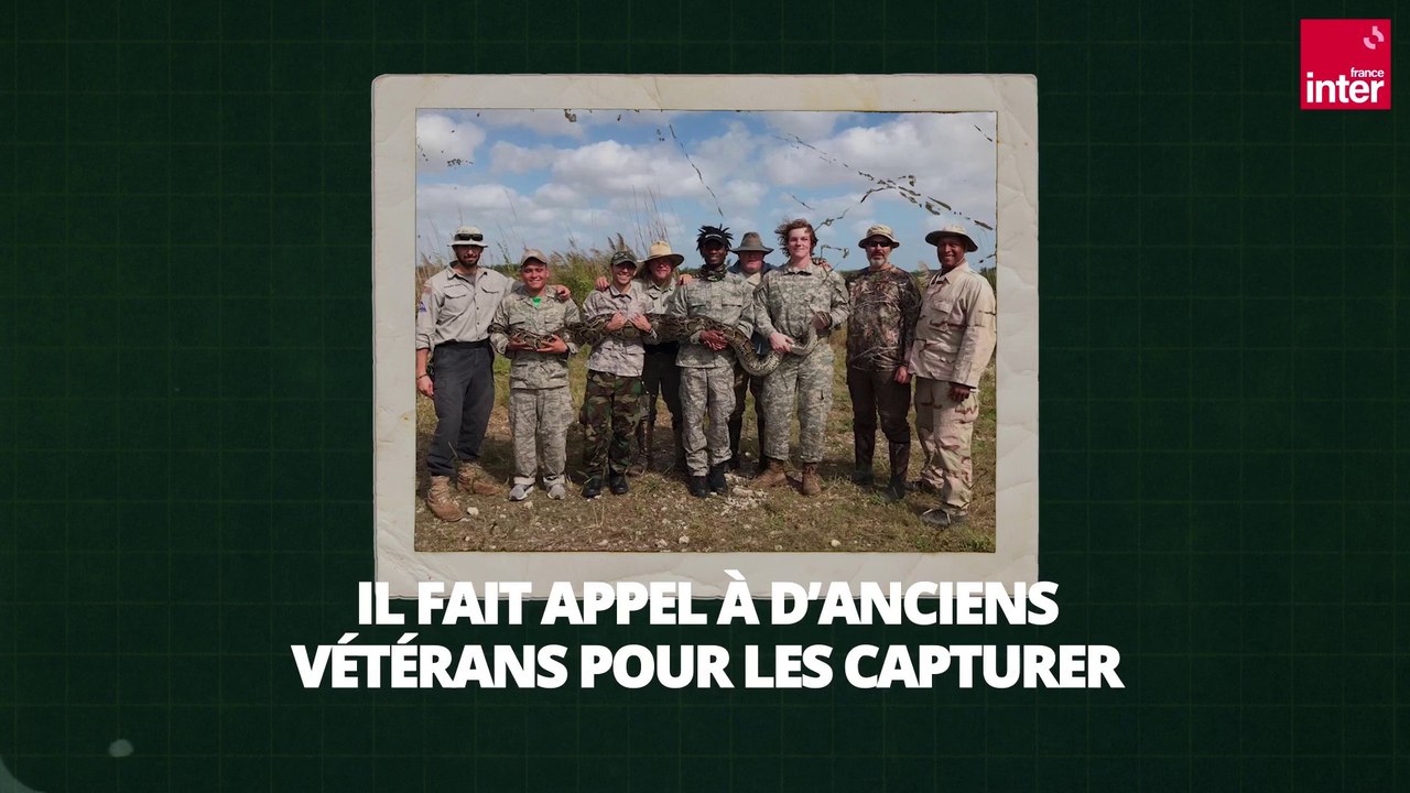 Chasse aux pythons birmans dans les Everglades - Là, dehors