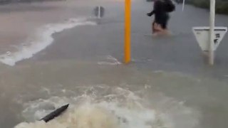 State of emergency declared in Auckland due too significant flooding