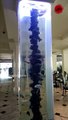 NEMO Themed Aquarium With NEW Fish!! | Marine Aquarium #SHORTS