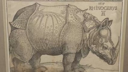 "El rinoceronte" de Durero y la revolución artística salida de las imprentas