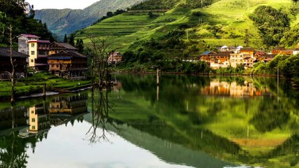 Making Traditional Kiwi Wine