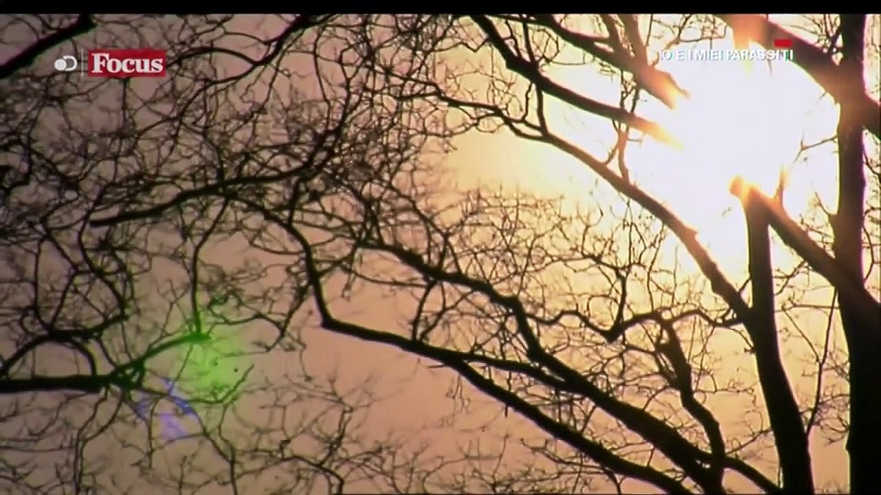 Io e I Miei Parassiti - Cellule Dormienti [Documentario]