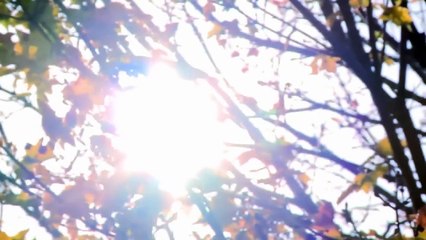 Io e I Miei Parassiti - iL Mio Cervello e Sotto Attacco [Documentario]