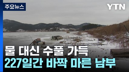 물 대신 수풀 가득 저수지...227일간 바짝 마른 남부지방 / YTN