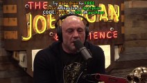 Joe Rogan- SUGAR vs FAT, Which Is Worse-! & What's Elon Musk REALLY Doing with Twitter-!