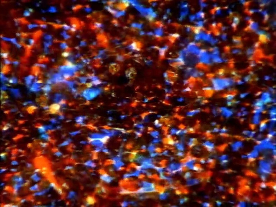 Lieber Onkel Bill Season 2 Ep 5