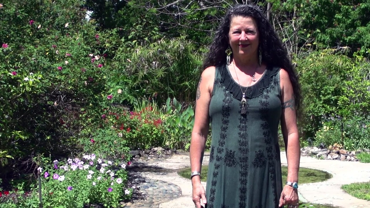 The Executive Empress | Creating your Passion's Results