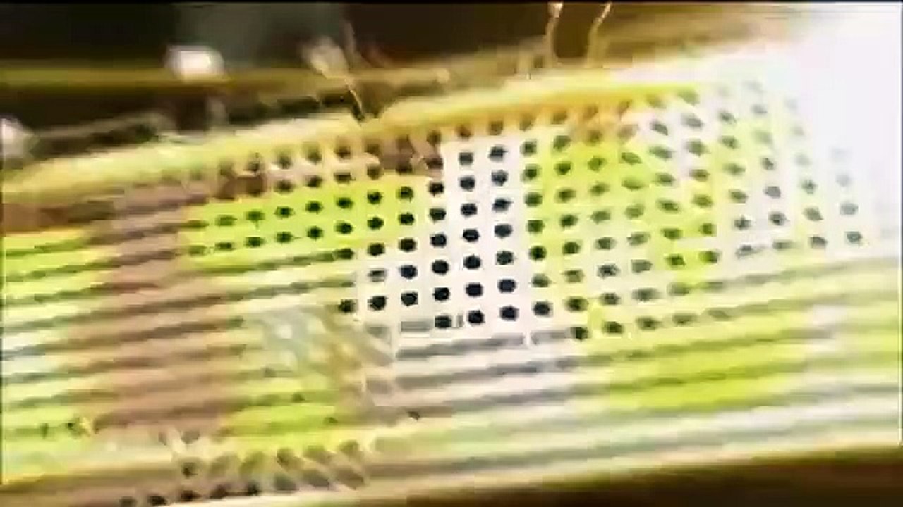 Celebrity Name Game - Se1 - Ep51 HD Watch