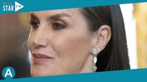 Letizia d'Espagne ignorée par un invité : Rare geste d'agacement en public, la reine professionnelle