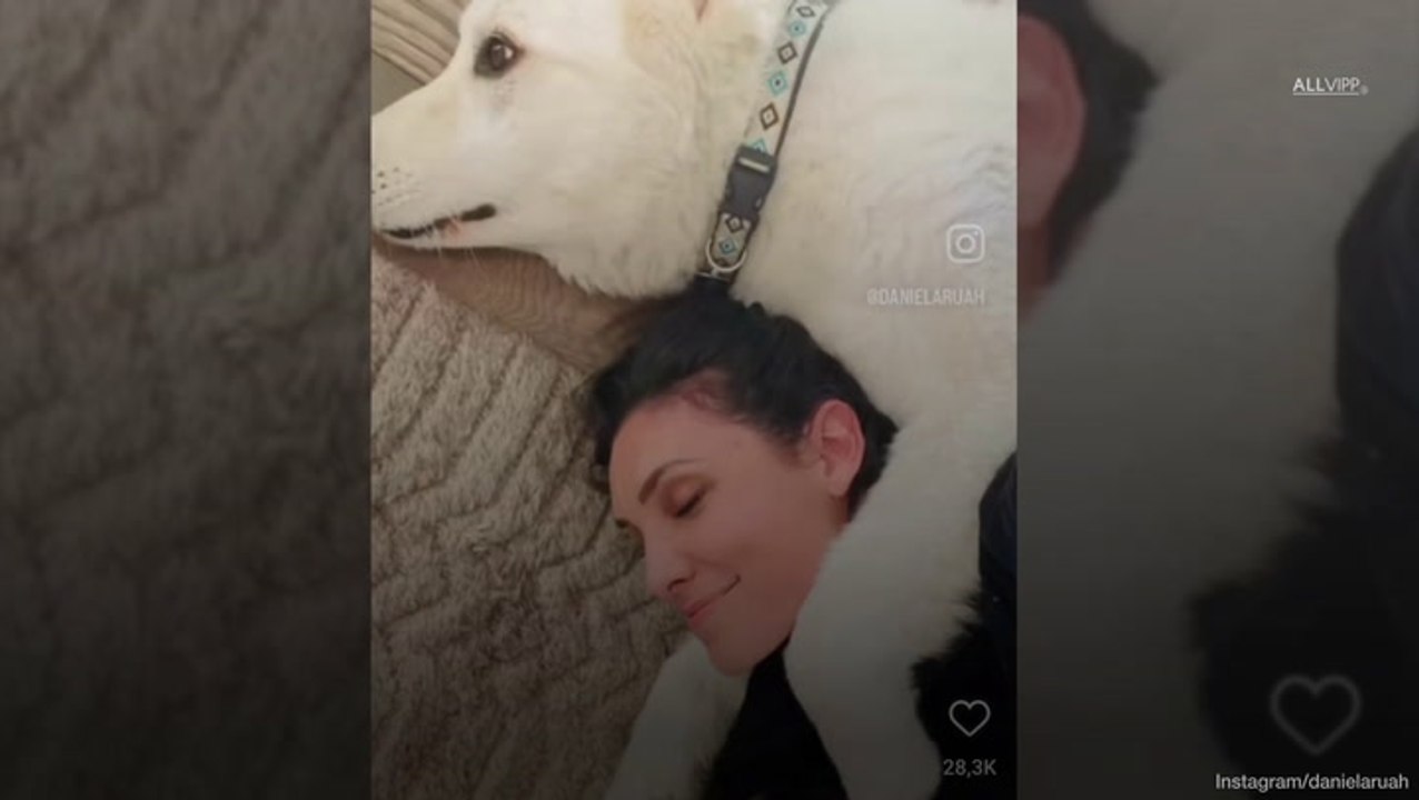 'NCIS: L.A.' Star Daniela Ruah Mourns Family Member