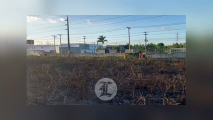 Denuncian que incendio en El Almirante fue provocado por desconocidos