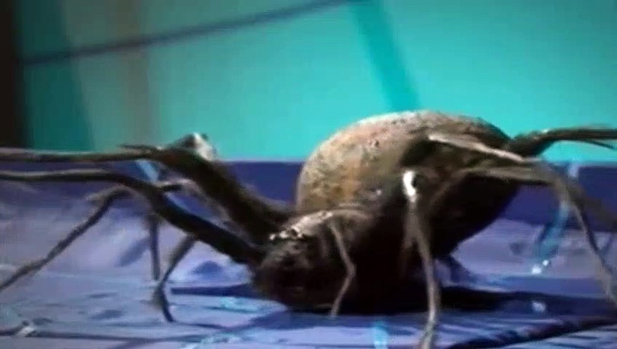 Doctor Who Season 11 Episode 25 Planet Of The Spiders Pt 5 (1963–1989)