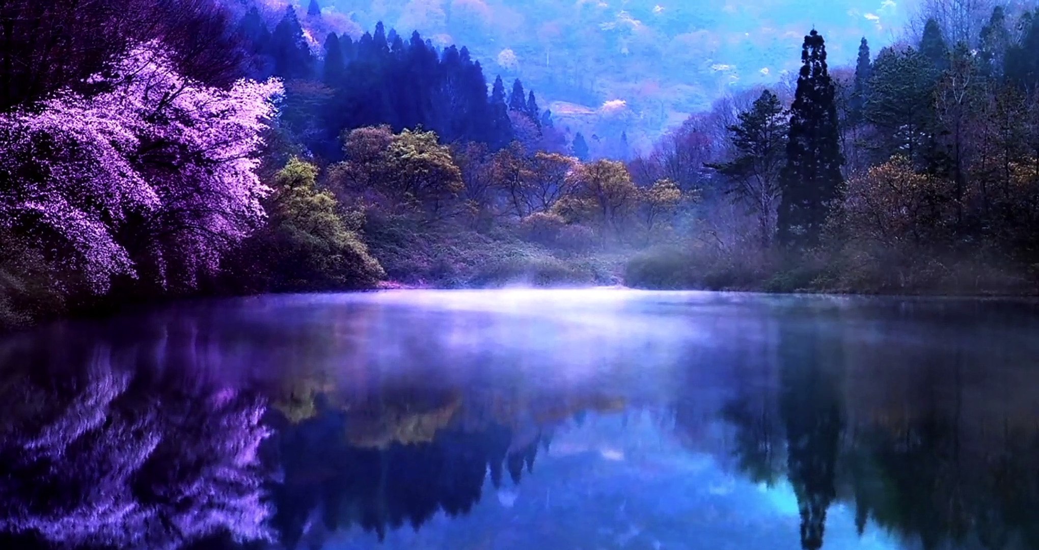 Relaxing Sleep Music • Deep Sleeping Music, Relaxing Music, Stress Relief, Meditation Music