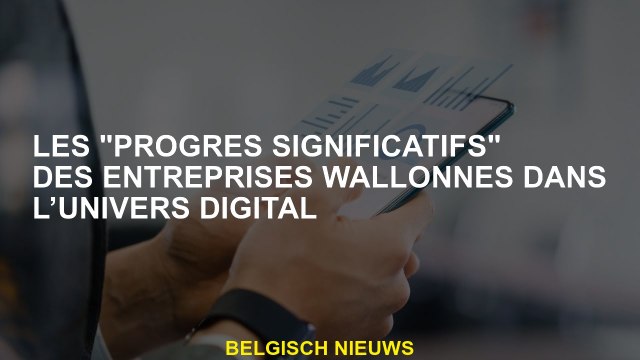 Les progrès significatifs des entreprises wallon dans l'univers numérique