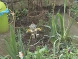 Journée de la poésie au Jardin des oiseaux