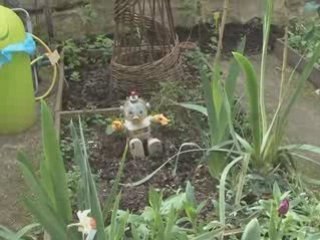 Journée de la poésie au Jardin des oiseaux