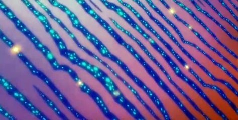 Samurai Jack Season 5 Episode 4: XCV – Epic Showdown and Surprising Twists ⚔️