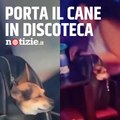 Ragazza porta il cane in discoteca: scoppia la polemica