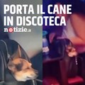 Ragazza porta il cane in discoteca: scoppia la polemica