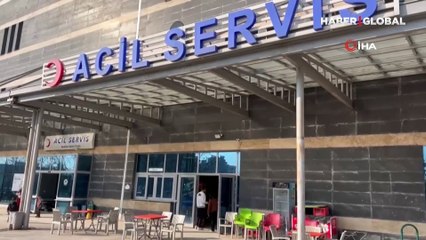 Yaralı yavru kedi topallayarak hastane aciline gitti