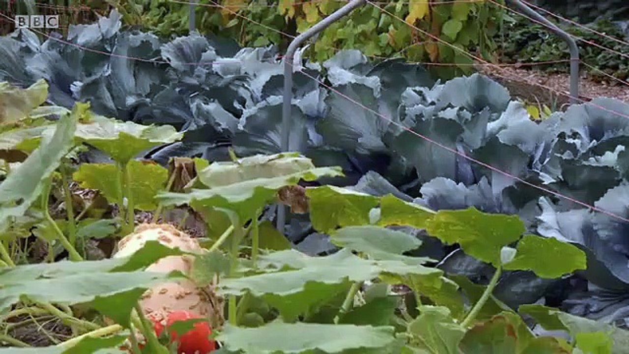 Great British Railway Journeys - Se7 - Ep18 HD Watch