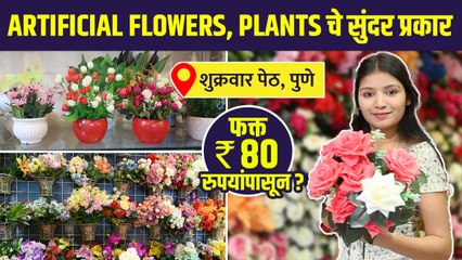 Artificial Flowers, Plants  फक्त 80 रुपयांपासून |