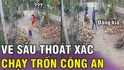 Đi ĐÁ GÀ bị công an dí - ANH THANH NIÊN có màn CẢI TRANG cực dị đánh lừa dân quân | Tin 3 phút