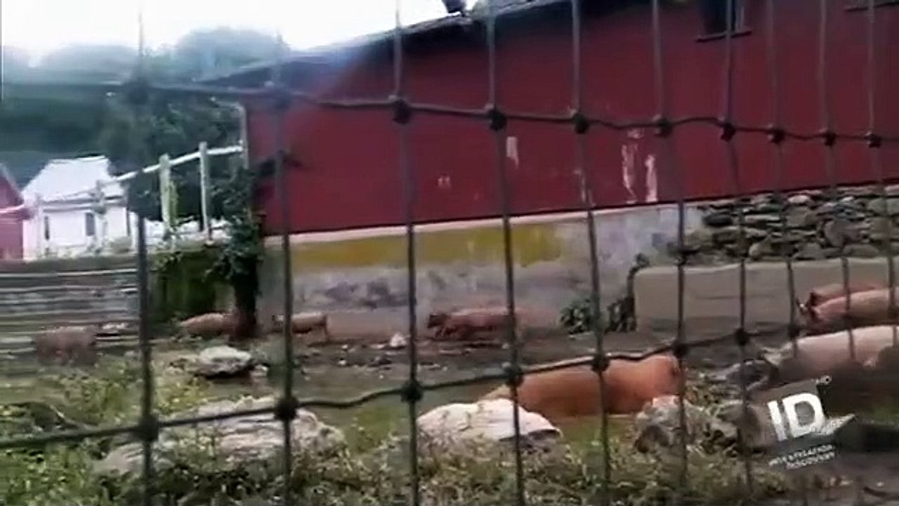 Scorned - love kills - se3 - ep05 hd watch