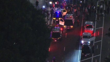 Tyre Nichols protest in LA sees firework send police cruiser up in smoke