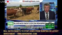 108057-mainBill Gates wants to stop cows from burping in latest investment - 1breakingnews.com