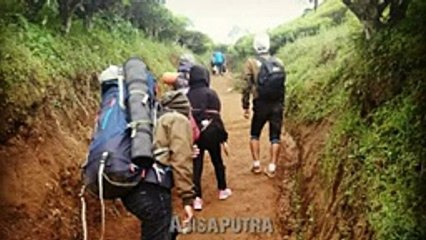 WHY PEOPLE ARE SO WHITE APPEARANCES ON MOUNT ANDONG