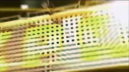 Celebrity Name Game - Se1 - Ep55 HD Watch